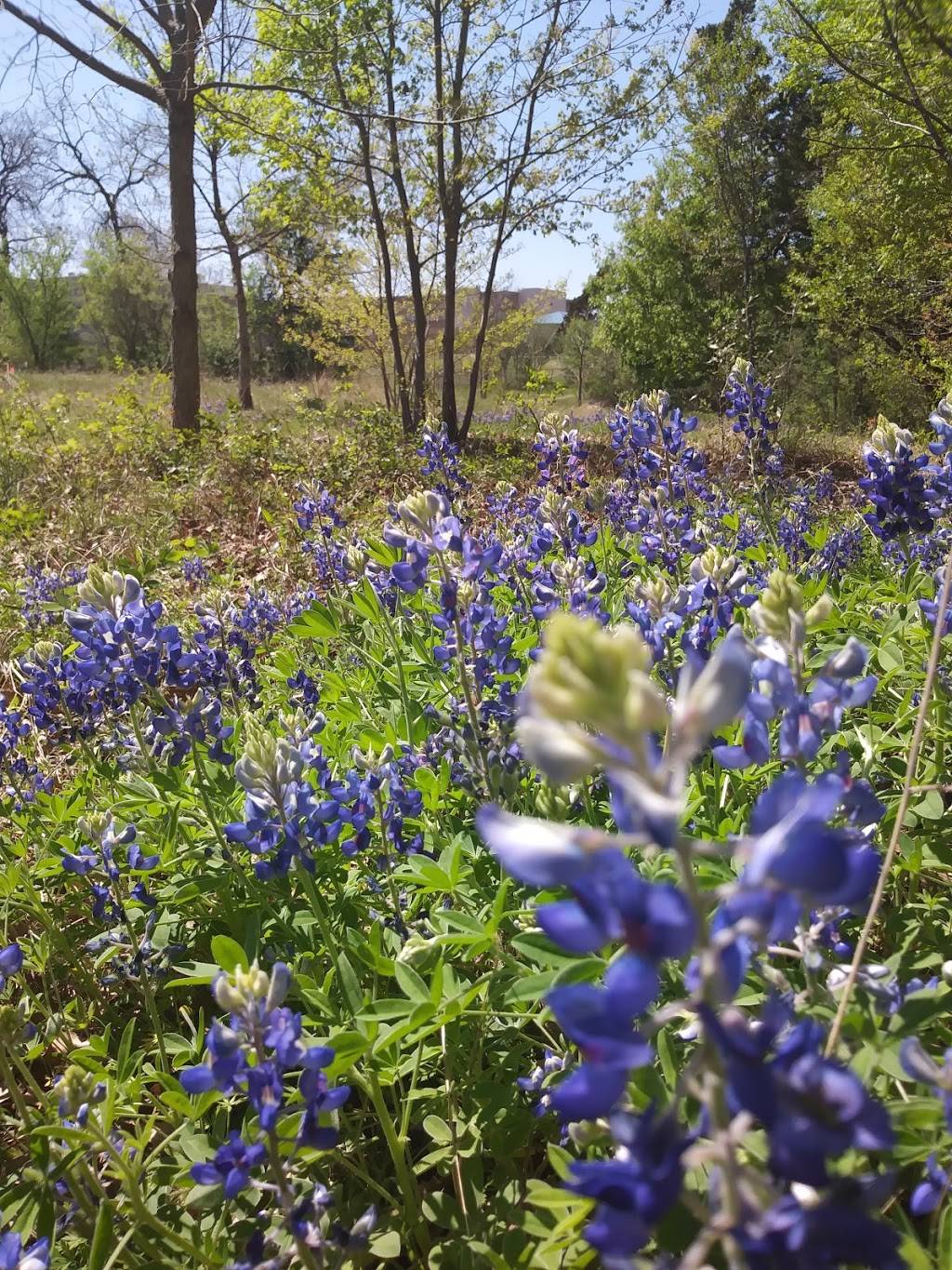 Twelve Hills Nature Center | 817 Mary Cliff Rd, Dallas, TX 75208, USA | Phone: (469) 249-2817