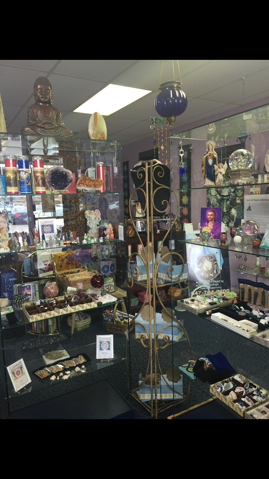 Psychic Medium | 650 Meacham Rd, Elk Grove Village, IL 60007, USA | Phone: (847) 764-2700