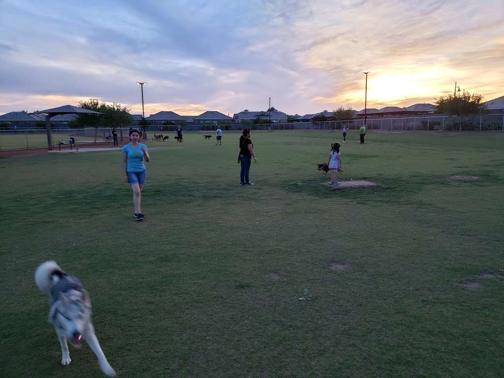 Pioneer Community Dog Park | 8755 N 83rd Ave, Peoria, AZ 85345, USA | Phone: (623) 773-7137