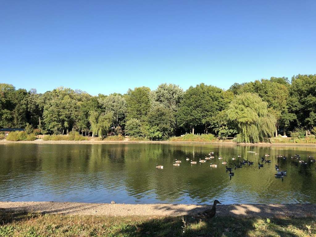 Glen Rock Duck Pond | 658 County Rte S79, Glen Rock, NJ 07452, USA