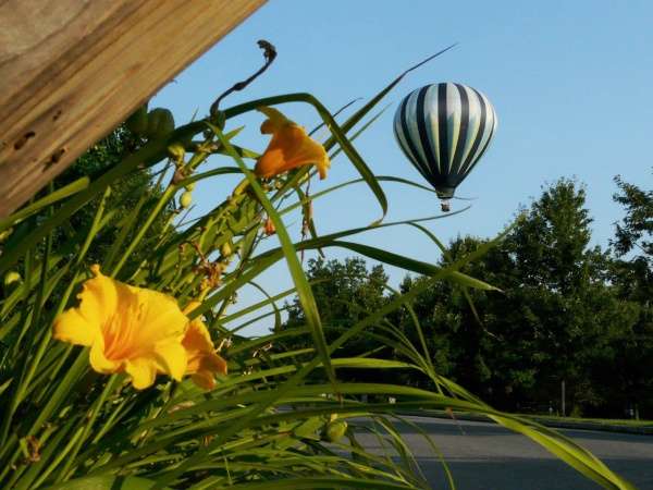 Alexandria Balloon Flights | 48 Sky Manor Rd, Pittstown, NJ 08867, USA | Phone: (888) 468-2477