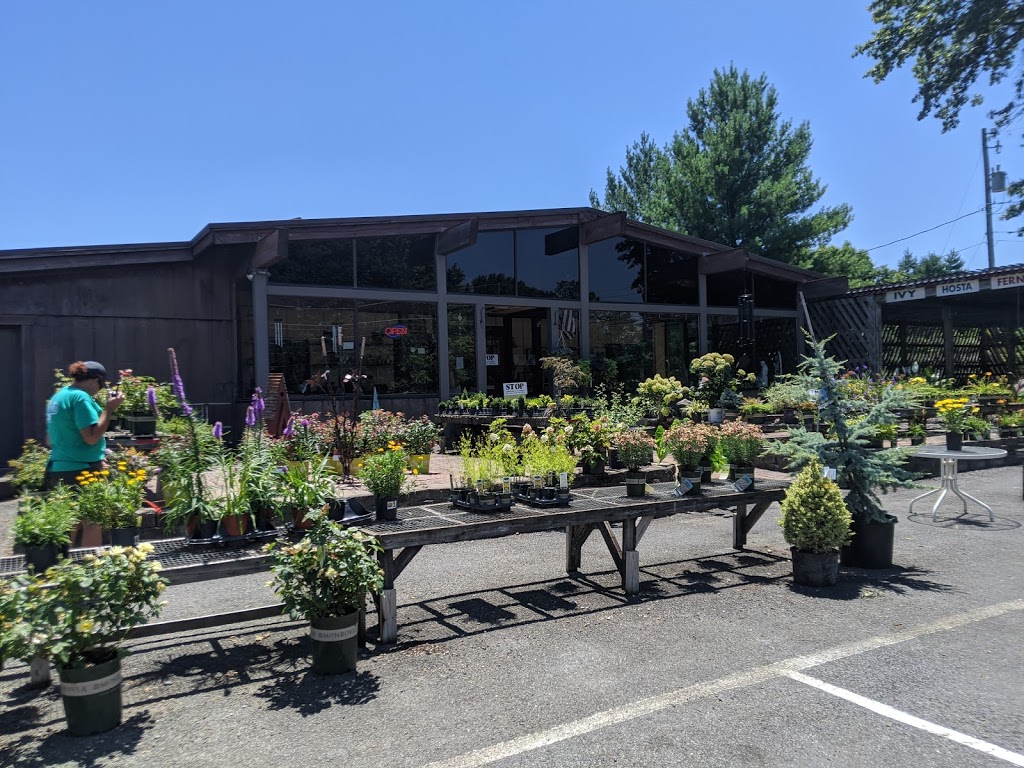 Dintelmanns Nursery & Garden Center, Inc. | 1710 Centreville Ave, Belleville, IL 62220, USA | Phone: (618) 233-4638