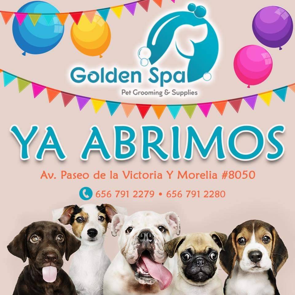 Golden spa | Av. Paseo de la Victoria 8050, Eréndira, 32663 Cd Juárez, Chih., Mexico | Phone: 656 791 2279