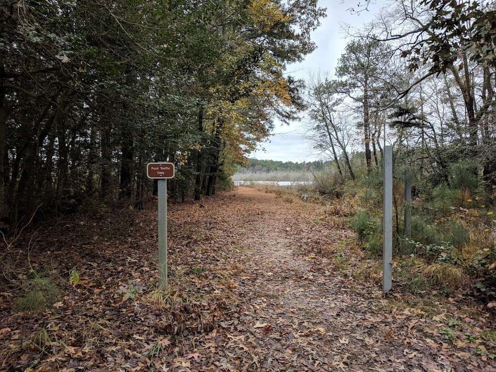 Pine Grove Trail Head | Pine Grove Trail, Milton, DE 19968, USA