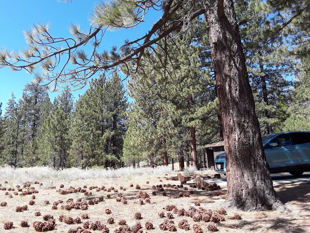 Mount Pinos Campground | Cuddy Valley Rd, Frazier Park, CA 93225, USA | Phone: (805) 434-1996