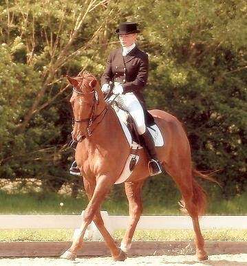 Sarah Williams Dressage | Yonder Farm, Orange Court Lane, Downe BR6 7JD, UK | Phone: 07956 369390