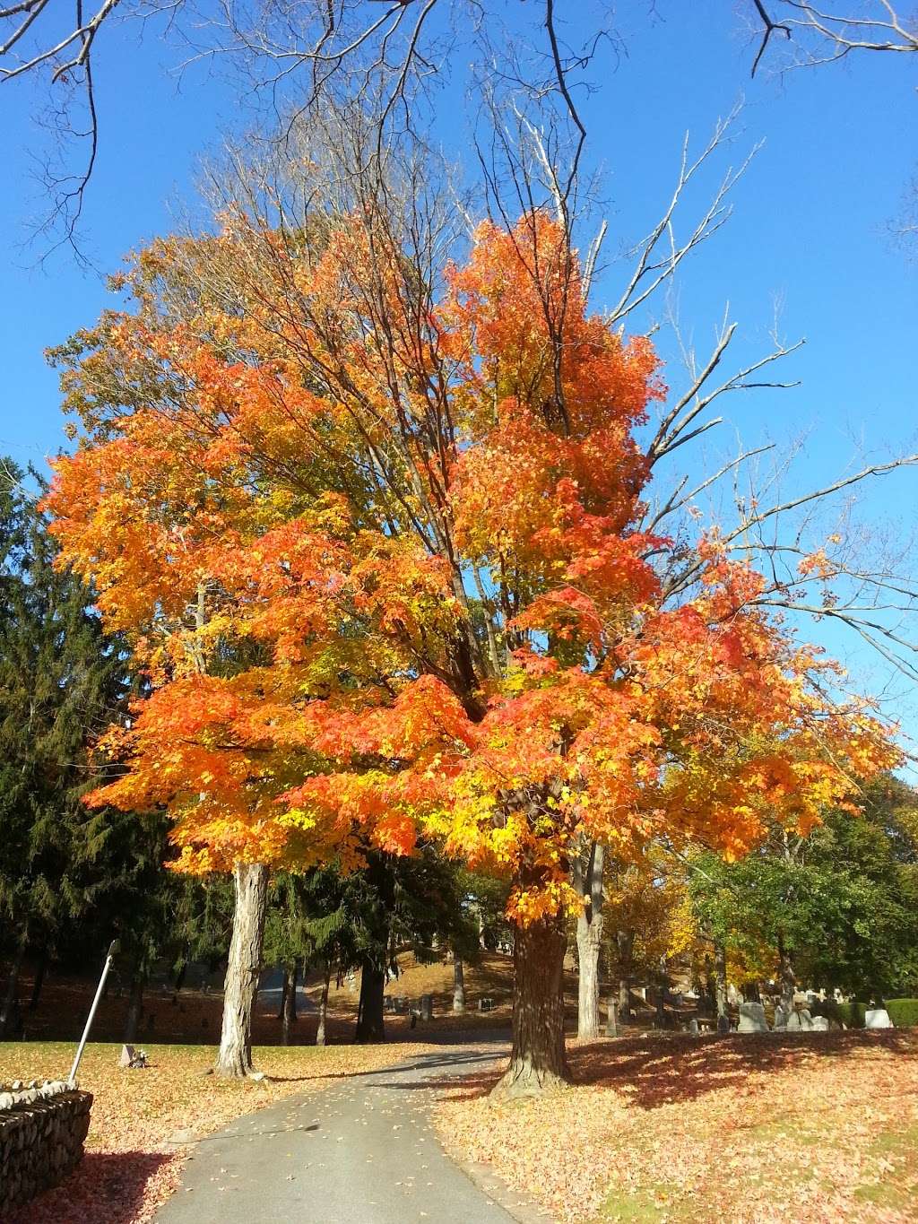 Oak Grove Cemetery | 230 Playstead Rd, Medford, MA 02155, USA | Phone: (781) 393-2488