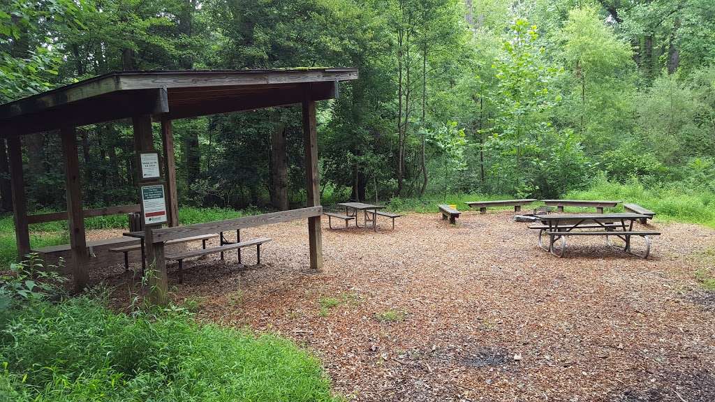 Walker Nature Center Campfire Ring | The Turquoise Trail, Reston, VA 20191, USA