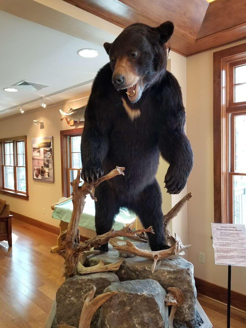 Pocono Mountains Visitors Center Lake Wallenpaupack | Lake Wallenpaupack Rd, Hawley, PA 18428, USA | Phone: (570) 226-2141