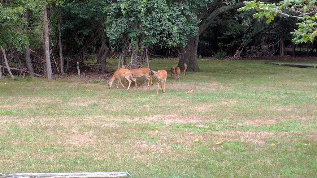 South Shore Nature Center | east 11730, 130 Bayview Ave, East Islip, NY 11730, USA | Phone: (631) 224-5436