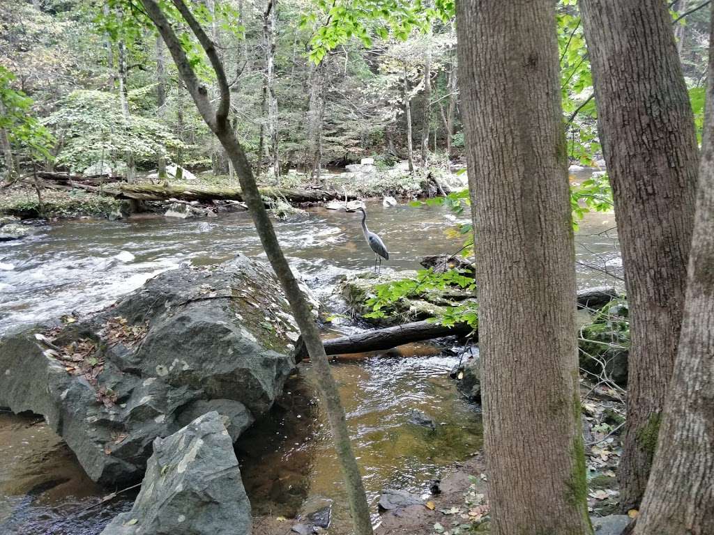 Ken Lockwood Gorge Wildlife Management Area | Raritan River Rd, Califon, NJ 07830, USA | Phone: (973) 383-0918