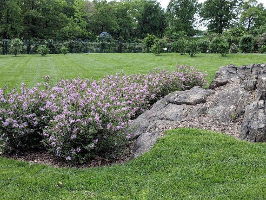 Rockefeller Rose Garden | Bronx River Pkwy, Bronx, NY 10467, USA | Phone: (718) 817-8700