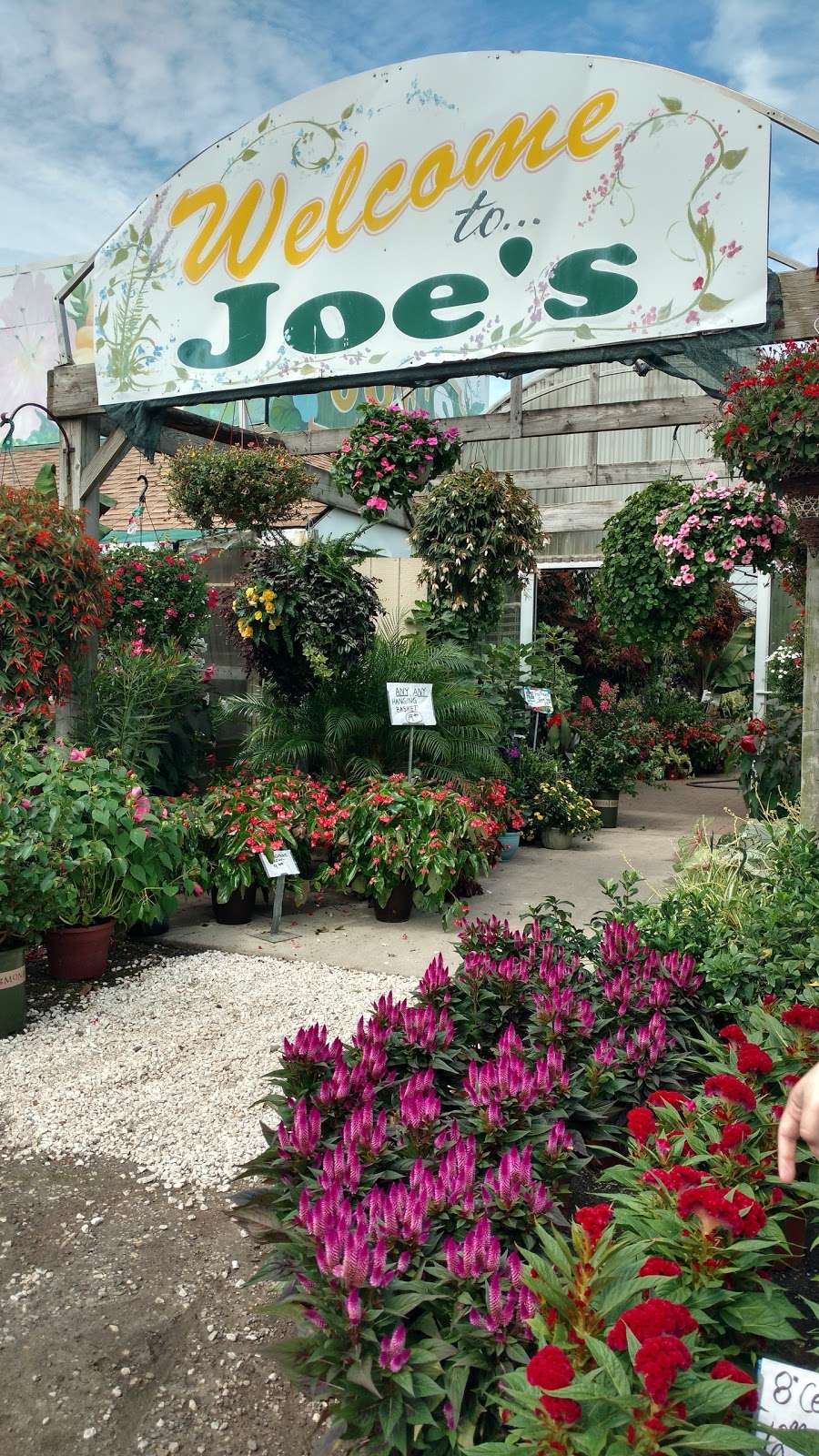 Joes Farm Market | 171 W White Horse Pike, Galloway, NJ 08205, USA | Phone: (609) 652-8515