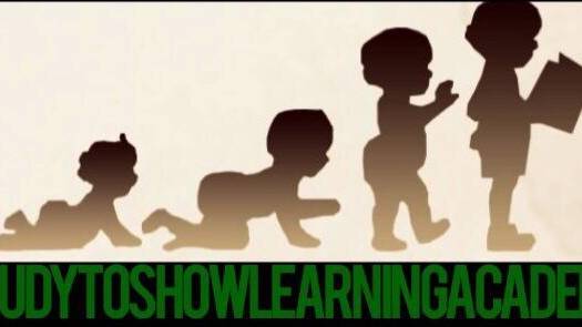 Study to Show Learning Academy LLC | 8416 Oak Crossing Dr W, Jacksonville, FL 32244, USA | Phone: (904) 254-8937