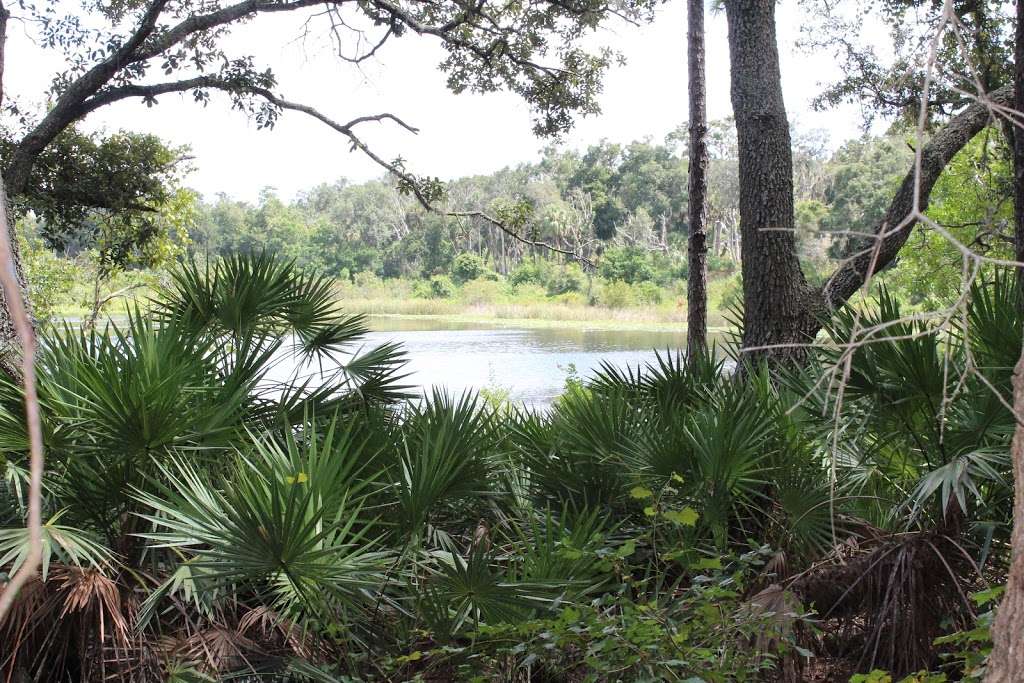 Lake May Reserve | 36300 County Rd 44A, Eustis, FL 32736, USA | Phone: (352) 253-4950