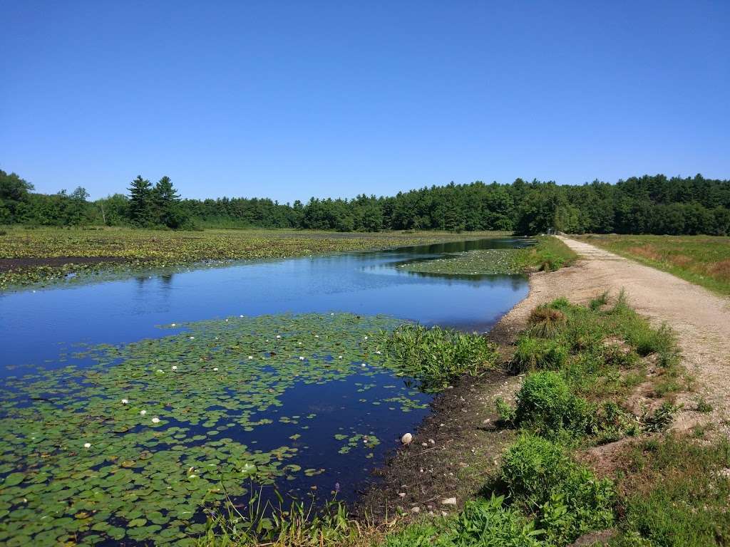 Cranberry Bog | Carlisle, MA 01741, USA