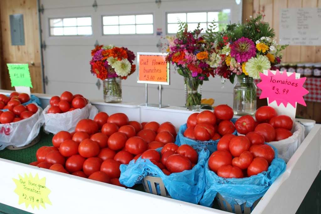 Hammond School Farm Market | 9496, 661 Ranck Rd, New Holland, PA 17557, USA | Phone: (717) 354-8114