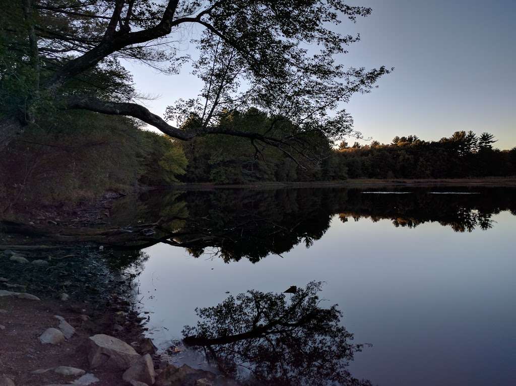 Hewitts pond reserve | Forge River, Raynham, MA 02767, USA