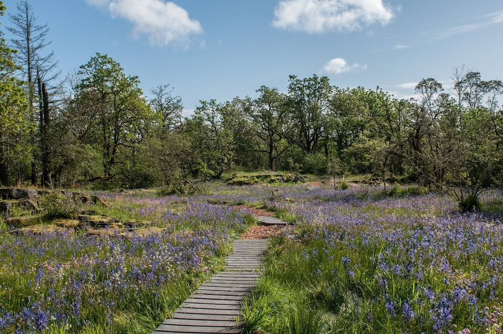 Camassia Nature Preserve | 4800 Walnut St, West Linn, OR 97068, USA | Phone: (503) 802-8100