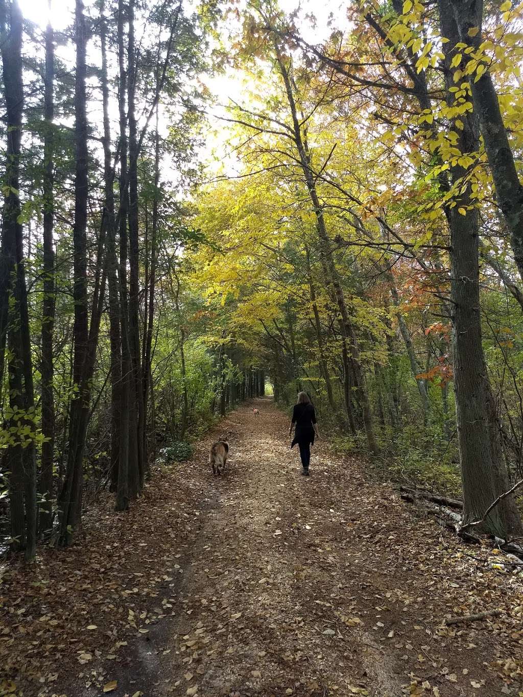 Michael huber prairie warbler preserve | 400, 450 Sooy Place Rd, Vincentown, NJ 08088, USA | Phone: (888) 526-3728