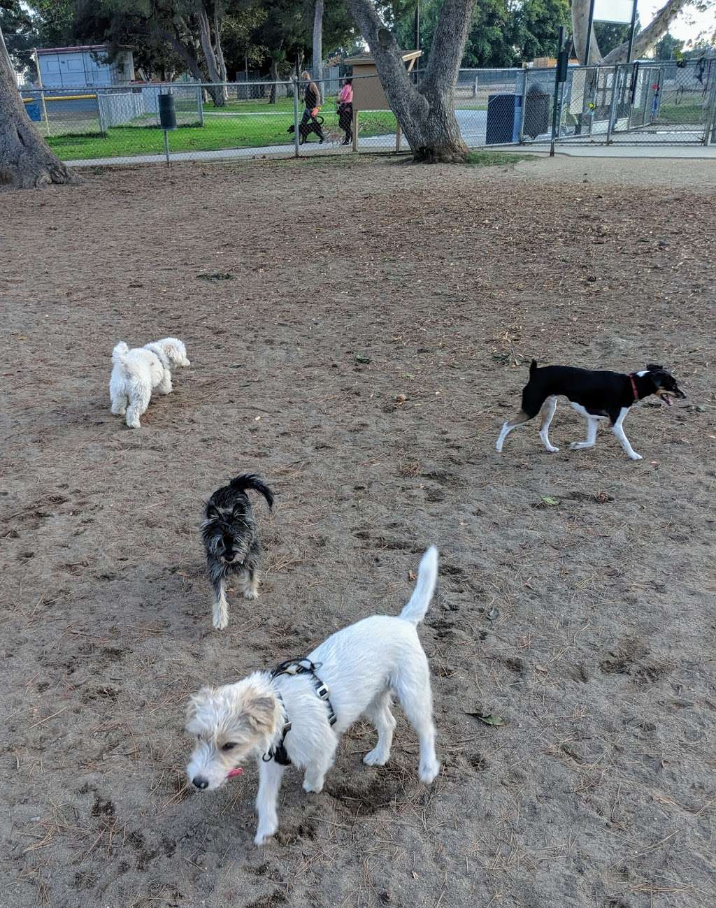 Home Run Dog Park | 20357 Studebaker Rd, Lakewood, CA 90713, USA | Phone: (562) 925-6912