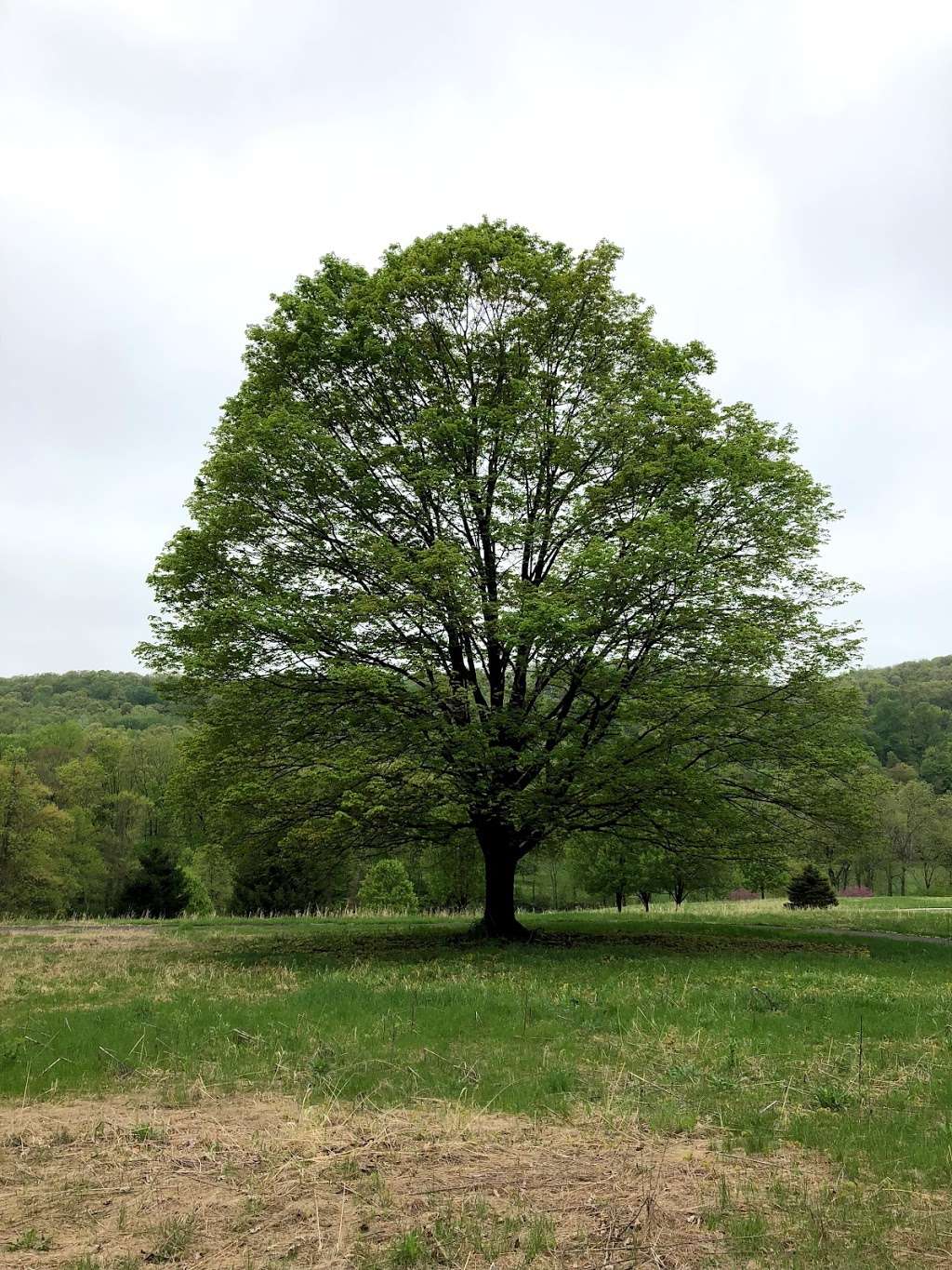 Cherry Valley National Wildlife Refuge | 2138 Croasdale Rd, Stroudsburg, PA 18360, USA