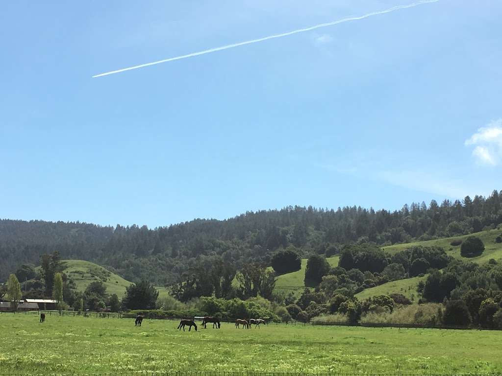 Kilham Farm | 3431 Nicasio Valley Rd, Nicasio, CA 94946, USA | Phone: (415) 662-2232