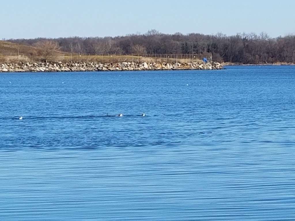 City Island Wetlands | 1340, 8 Tier St, Bronx, NY 10464, USA | Phone: (212) 639-9675