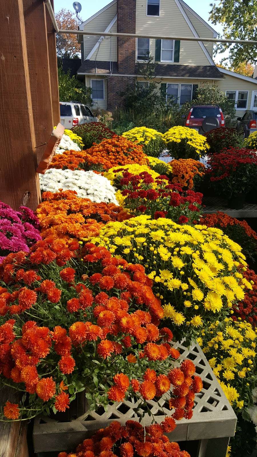 F.H. Corwin Florist And Greenhouses, Inc. | 12-16 Galloway Rd, Warwick, NY 10990, USA | Phone: (845) 986-1116