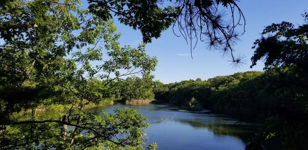 Sheepfold Park-Middlesex Fells Reservation | Soap Box Derby Track, Stoneham, MA 02180, USA | Phone: (617) 727-1199 ext. 406