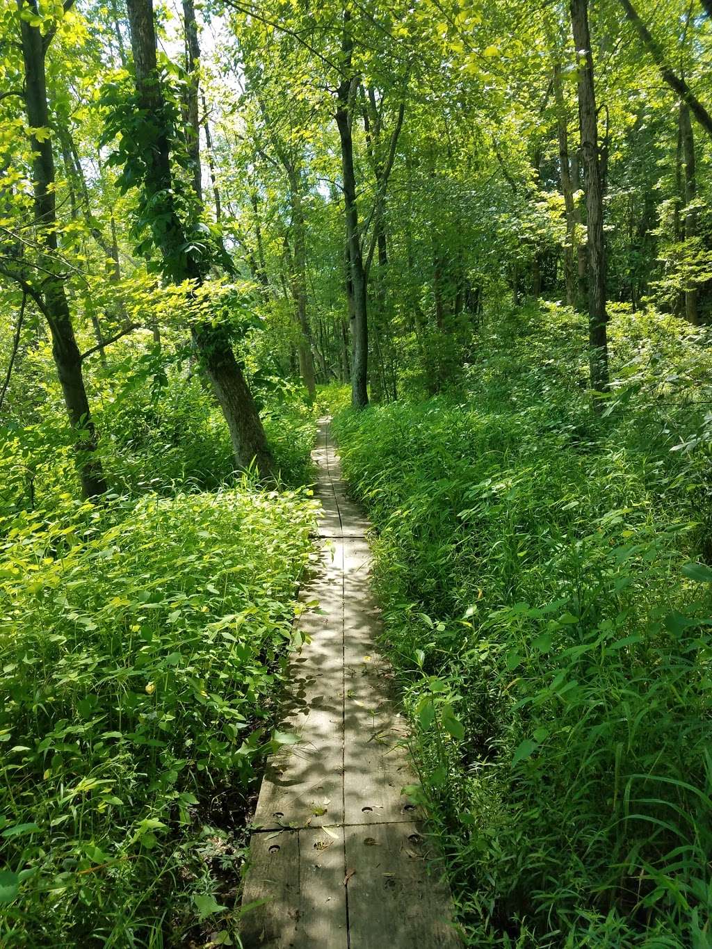 Julie J. Metz Neabsco Creek Wetlands Preserve | 15875 Neabsco Rd, Woodbridge, VA 22191, USA | Phone: (703) 499-9812