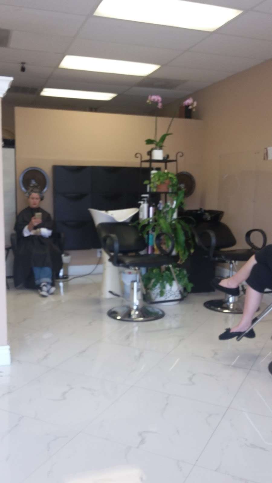 Spring Hair Salon | 6935 Stirling Rd, Davie, FL 33314, USA | Phone: (954) 554-1879