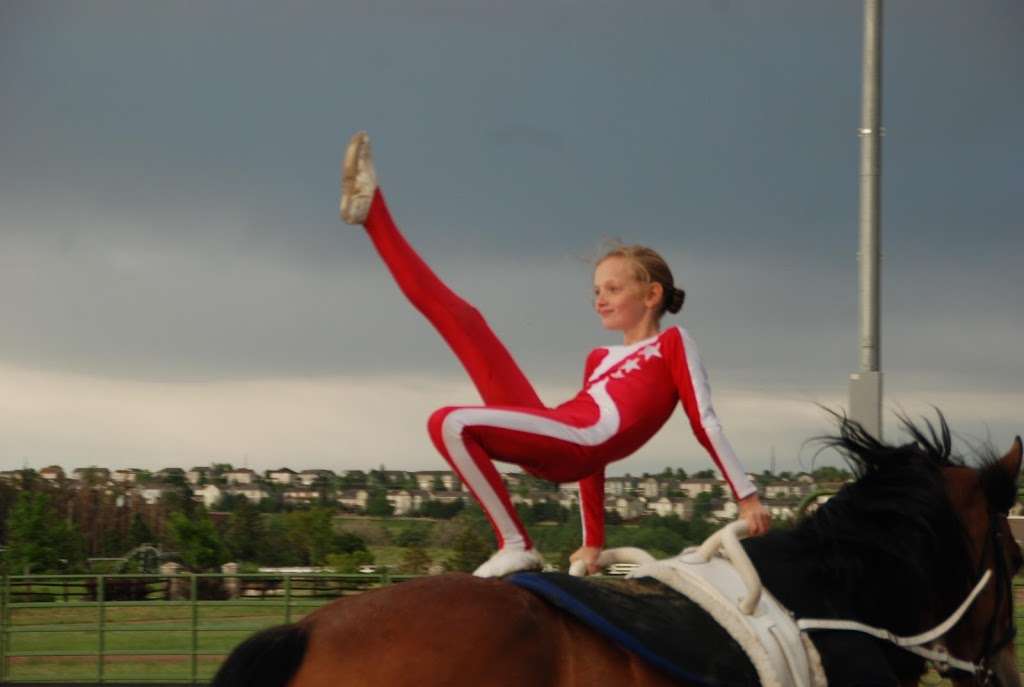 EquesTraining | 11063 Sheffield Ct, Parker, CO 80134, USA | Phone: (720) 785-0980