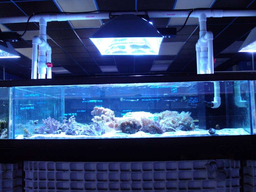 Hamilton Technology Aquarium Supplies | 14900 S Figueroa St, Gardena, CA 90248, USA | Phone: (800) 447-9797