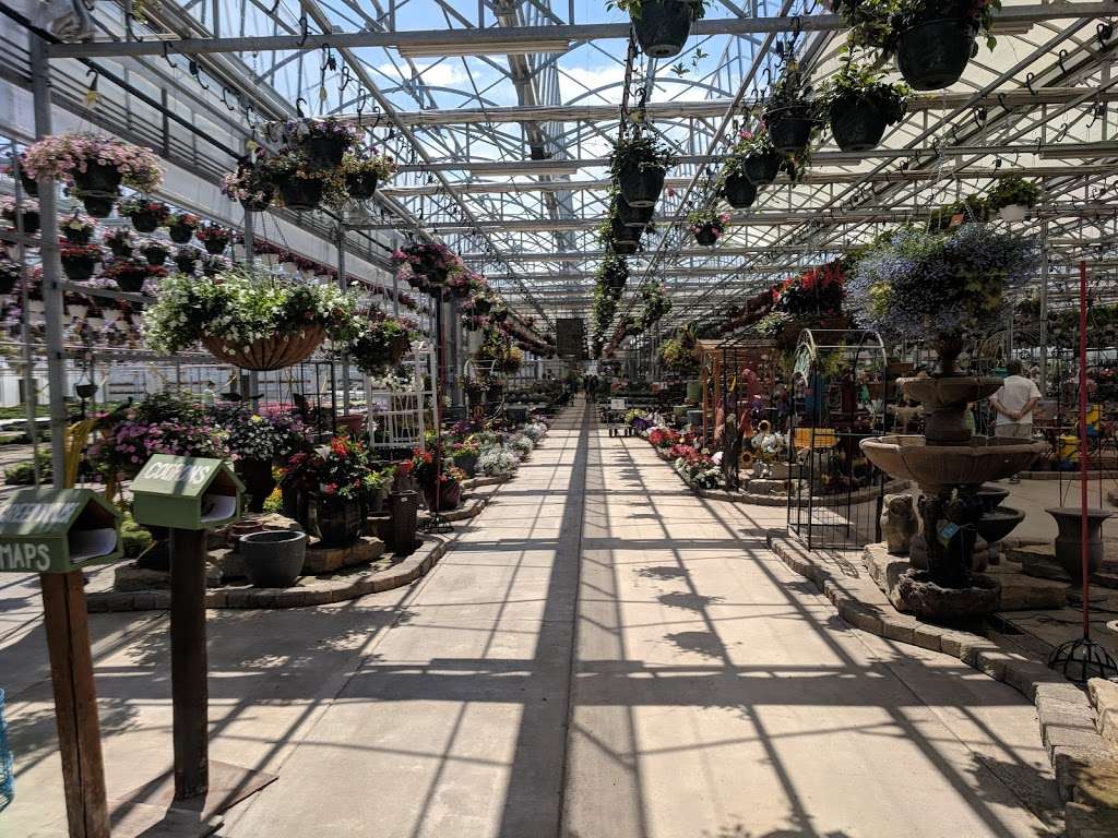 Woldhuis Farms Sunrise Greenhouse, Inc | 10300 9000 N, Grant Park, IL 60940, USA | Phone: (815) 465-6310