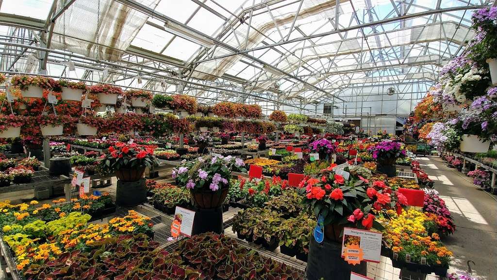 Brock Farms Home & Garden World | 4189 U.S. 9, Freehold, NJ 07728, USA | Phone: (732) 462-2700