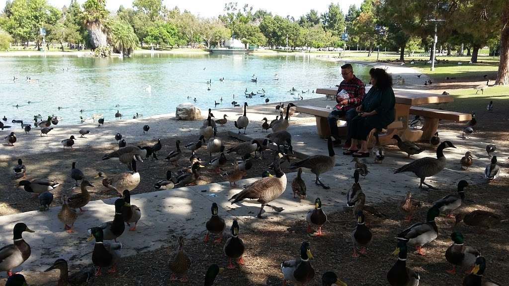 El Dorado Park East Duck Pond | 2560, 2400 N Studebaker Rd, Long Beach, CA 90815, USA