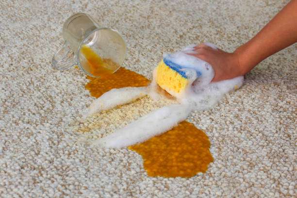 Ideal Carpet Care | 10266 Foothill Blvd, Lake View Terrace, CA 91342, USA | Phone: (818) 975-3424