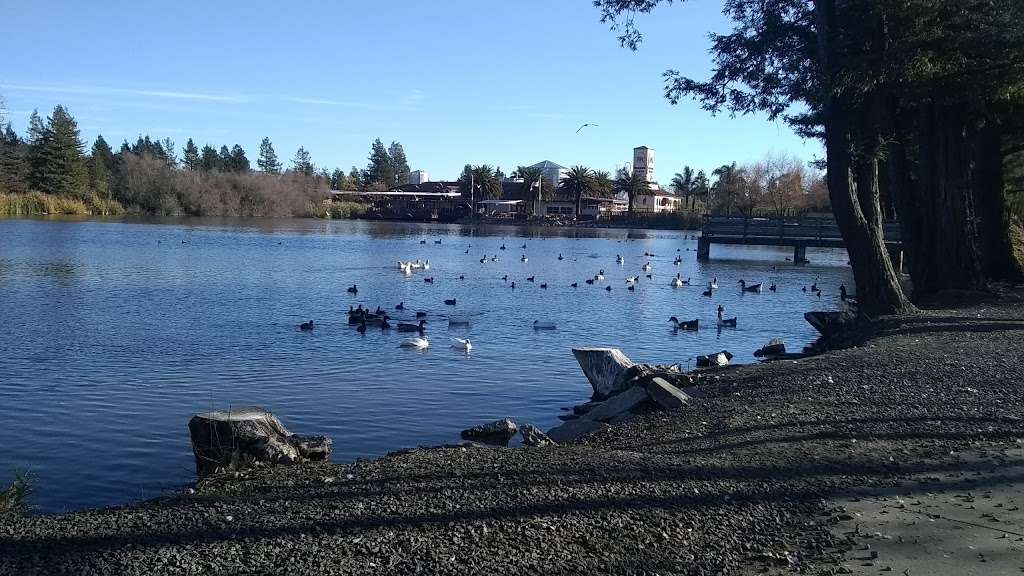 Roberts Lake/Dog park | 101 Golf Course Dr, Rohnert Park, CA 94928, USA