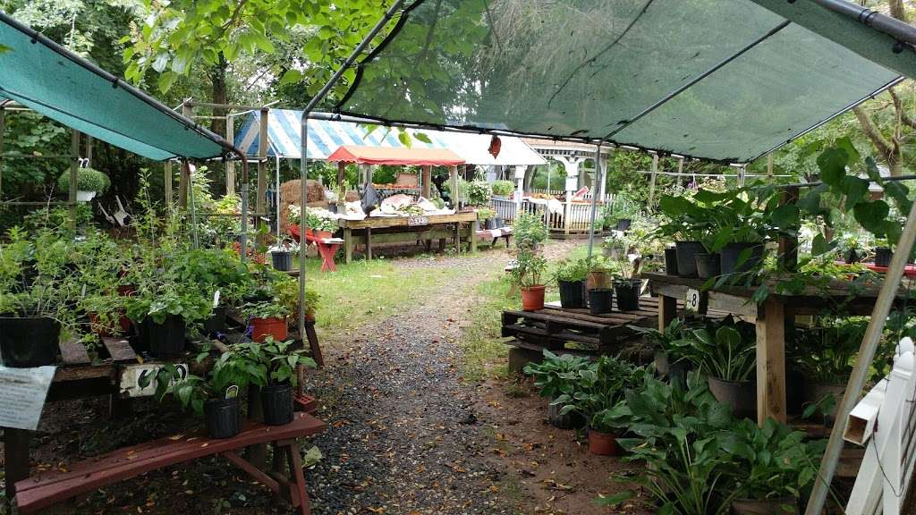 The Bills Farm (Produce Stand) | Breidenbaugh Ln, Glen Arm, MD 21057, USA