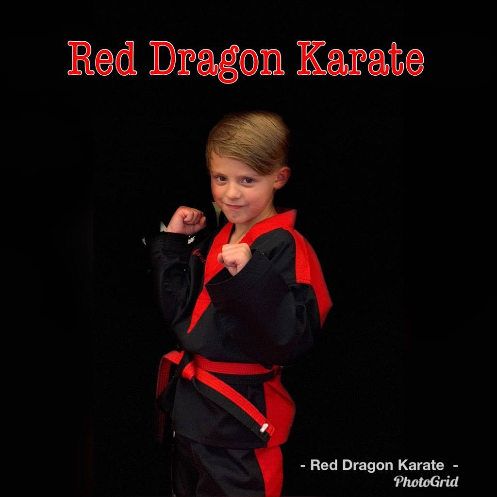 Red Dragon Karate USA, LLC | Mount View Plz # 4, 1866 Main St, Clifford, PA 18413, USA | Phone: (570) 222-5425