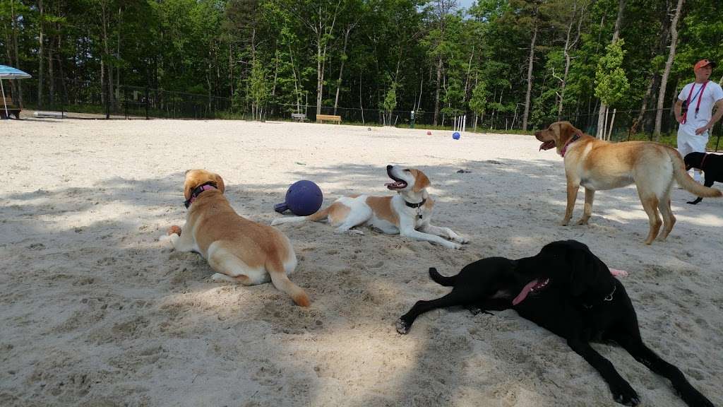 Egg Harbor Township Dog Park | 2, Swift Drive, Egg Harbor Township, NJ 08234, USA | Phone: (609) 338-8790