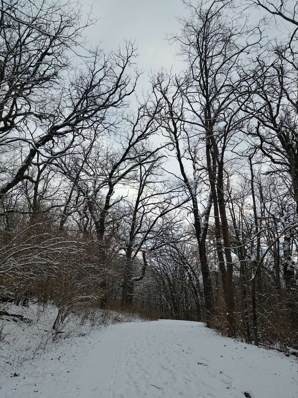 Hickory Grove Picnic Area | Unnamed Road, Spring Grove, IL 60081, USA