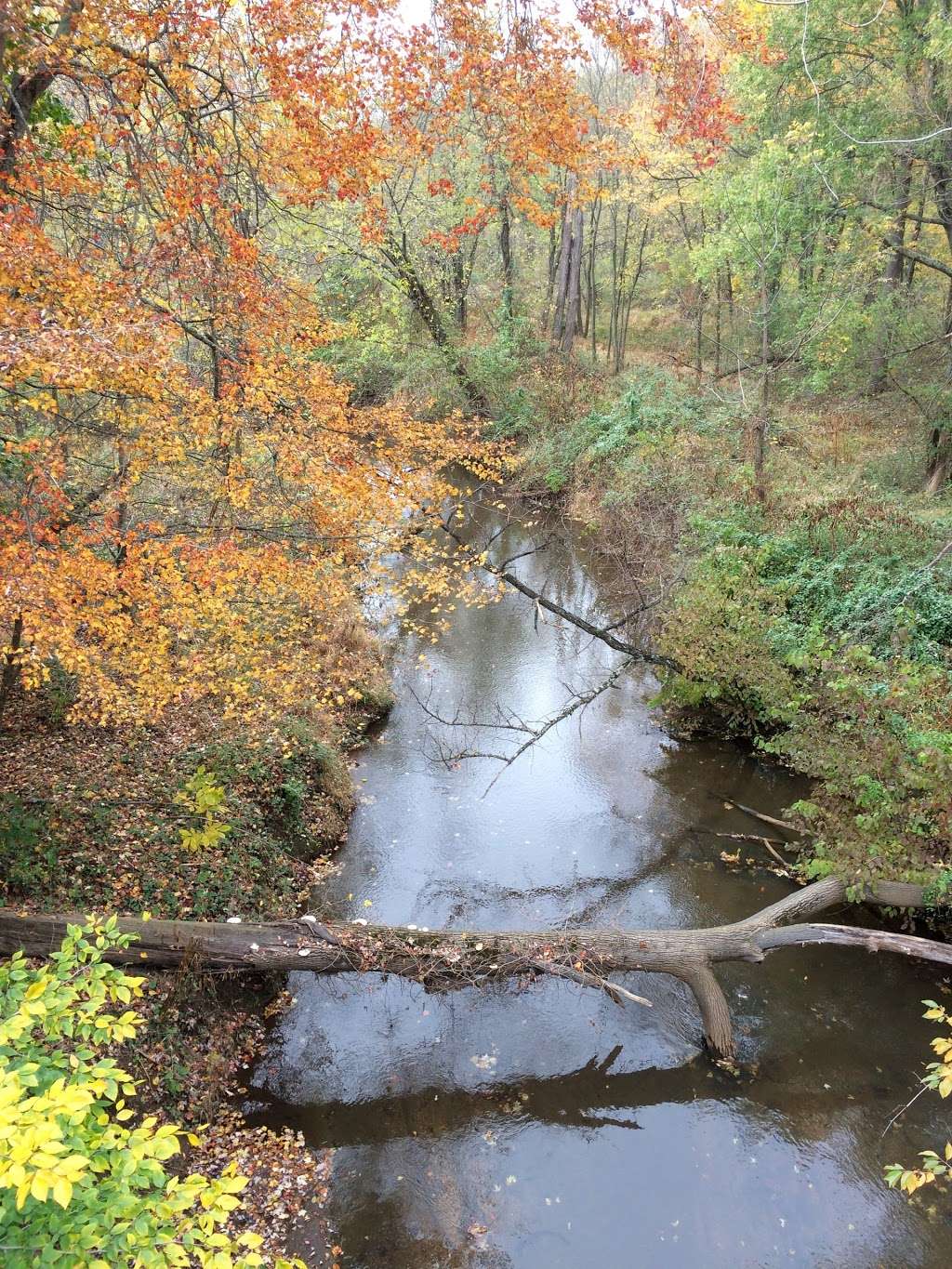 Union Transportation Trail Trailhead | 8 Millstream Rd, Cream Ridge, NJ 08514, USA