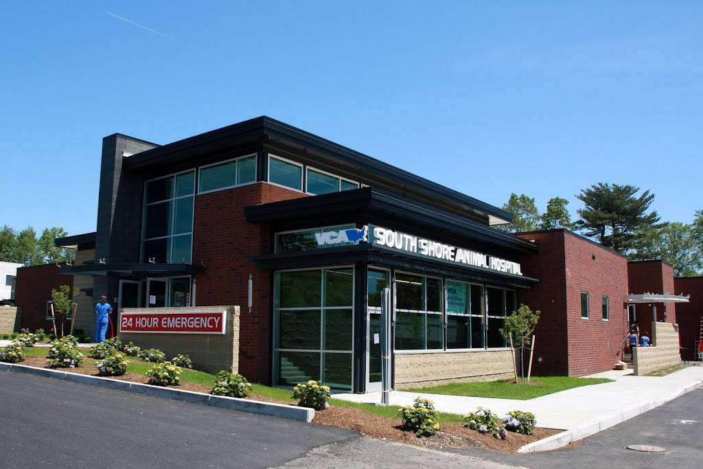 VCA South Shore Weymouth Animal Hospital | 595 Columbian St, South Weymouth, MA 02190, USA | Phone: (781) 337-6622