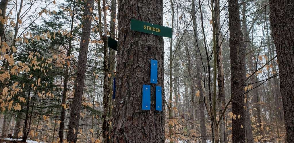 Haseltine Trailhead | B-H Trail, Amherst, NH 03031, USA