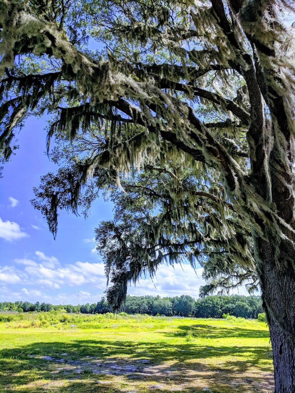 Johns Lake Conservation Area | 880 Avalon Rd, Winter Garden, FL 34787, USA