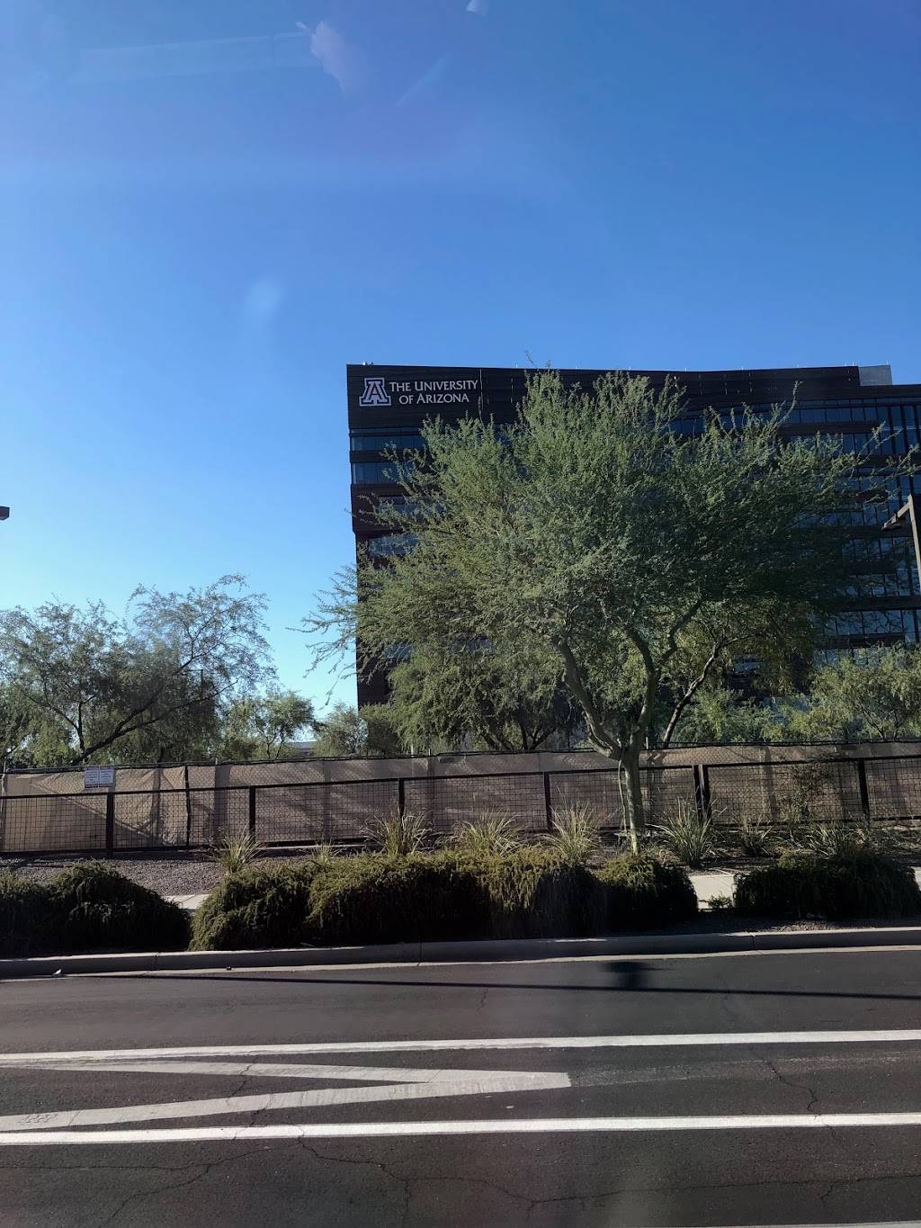 The University of Arizona College of Medicine - Phoenix | 475 N 5th St, Phoenix, AZ 85004, USA | Phone: (602) 827-2002