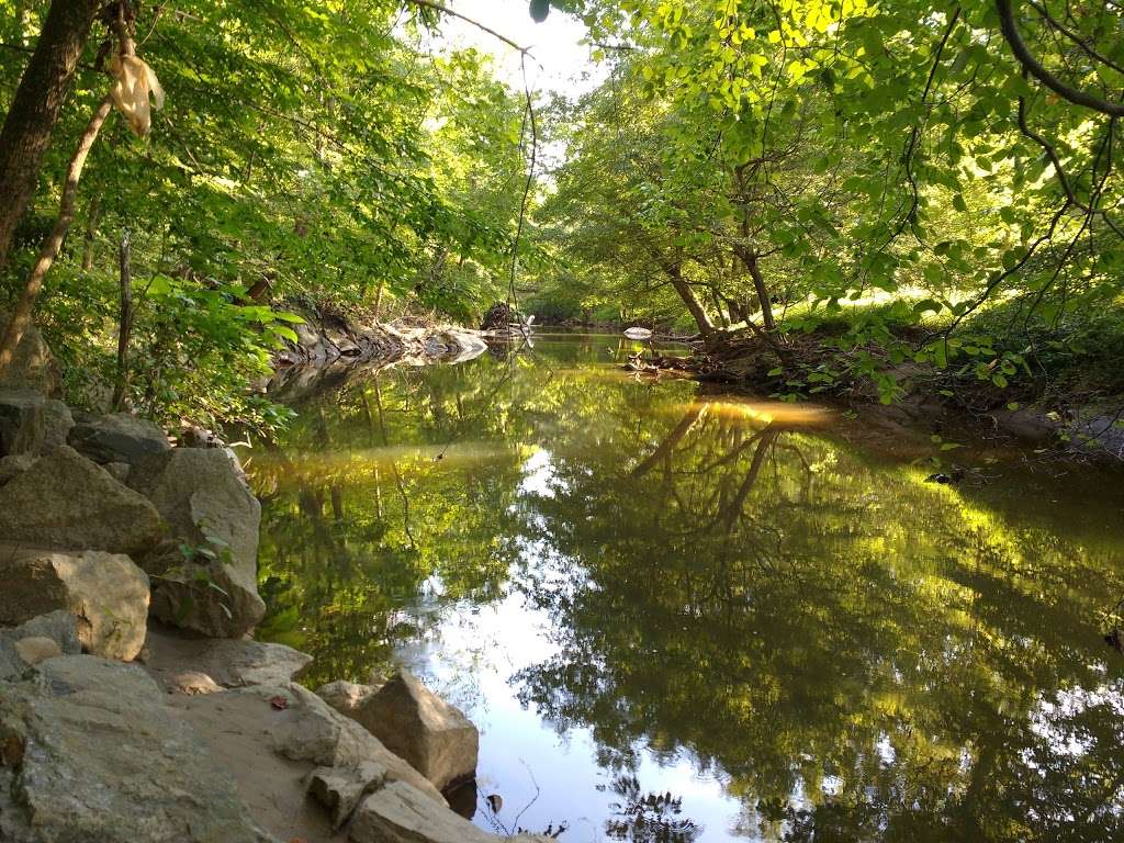 Rock Creek Park Grove 10 | Beach Dr NW, Washington, DC 20015, USA | Phone: (202) 895-6070