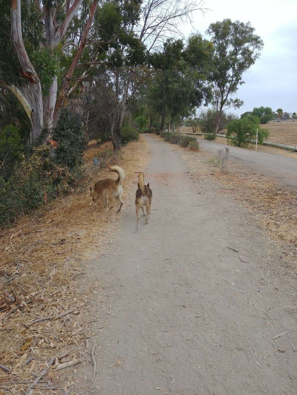 Landfill Loop | Rolling Hills Estates, CA 90274, USA